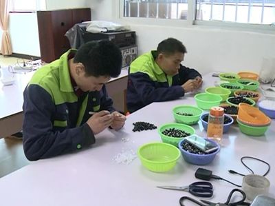 振奮人心 | 東興區殘疾人就業創業正當時！